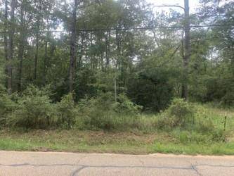 Folsom, LA 70437,ROBINSON RD