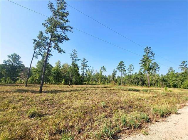 Provencal, LA 71468,0 HWY 117 LOT 9 HWY