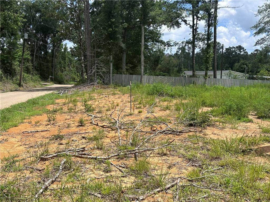 Roseland, LA 70456,63202 HILL TRACT 1 ST