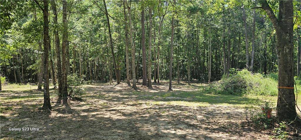 Carriere, MS 39426,112 N APPLE SOUTH DR