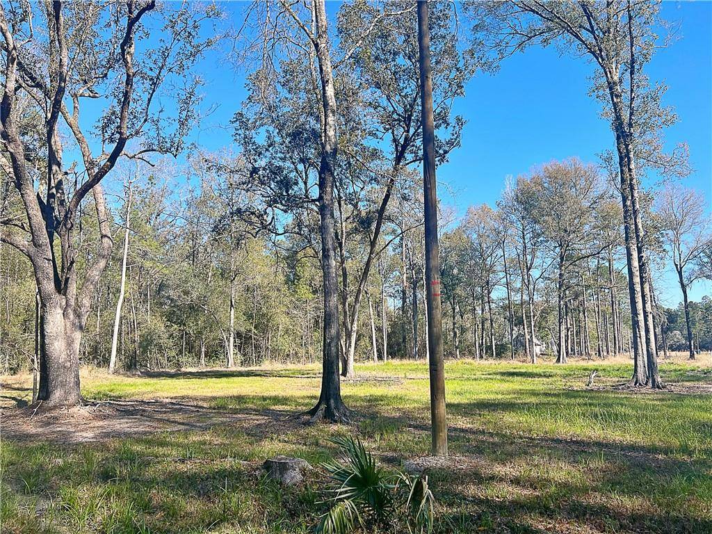 Hammond, LA 70403,47250 MONTICELLO DR