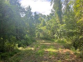 Pineville, LA 71360,Tract A BIG LAKE RD