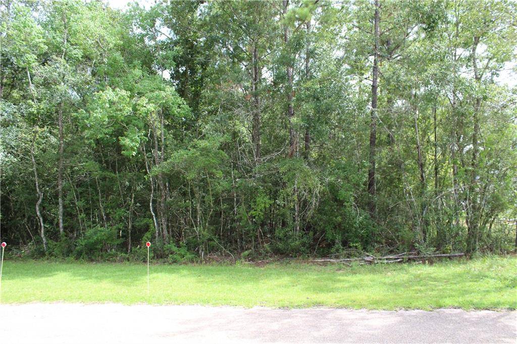 Ponchatoula, LA 70454,DEER CREEK DR