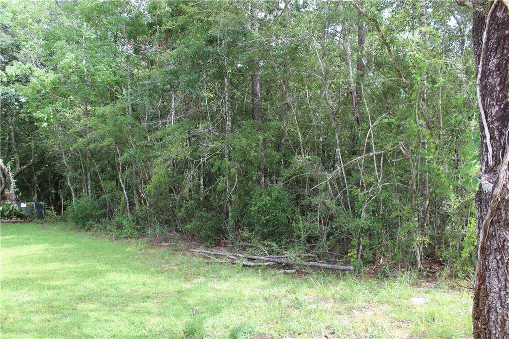 Ponchatoula, LA 70454,DEER CREEK DR
