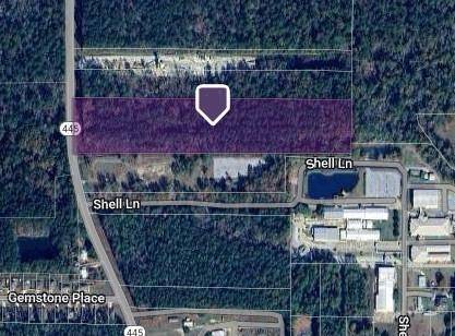 Robert, LA 70455,12.93 ACRES LA 445 HWY