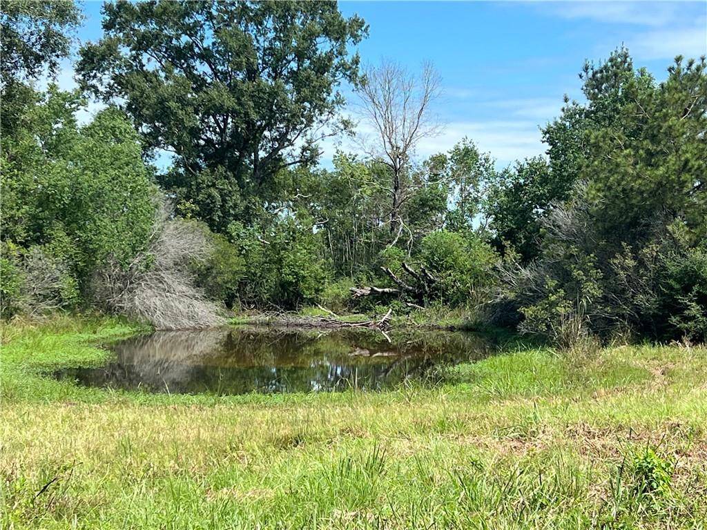 Loranger, LA 70446,LANAUX FARM RD