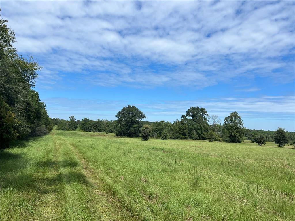 Loranger, LA 70446,LANAUX FARM RD