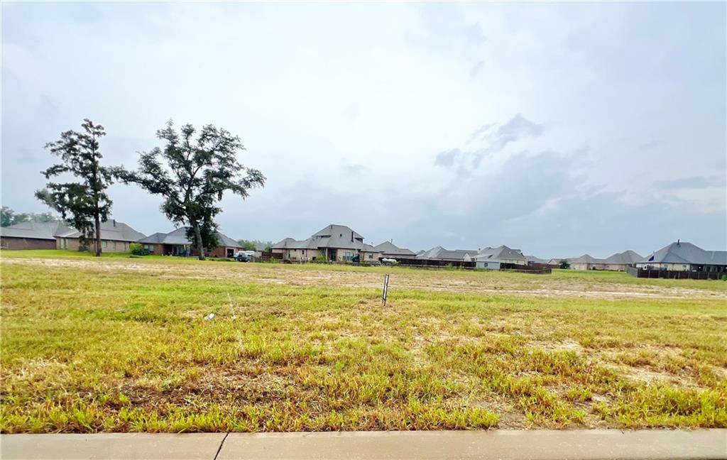 Luling, LA 70070,SOPHIA DR