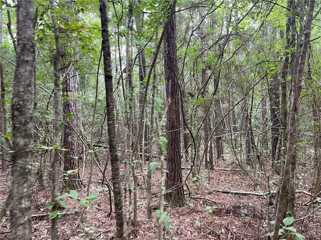 Franklinton, LA 70438,0 LA-439 HWY