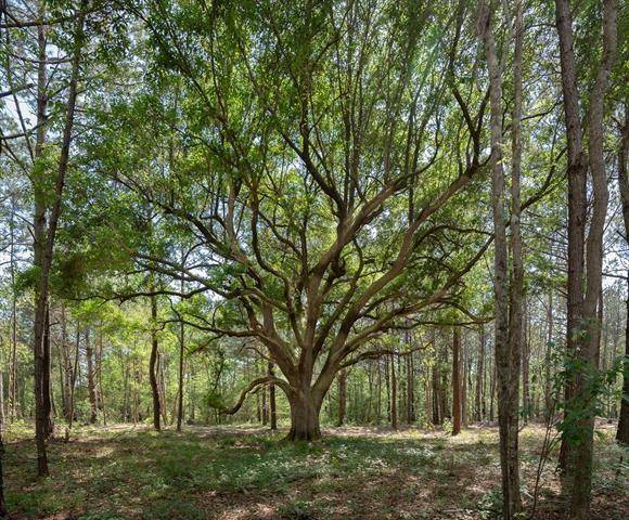 Covington, LA 70433,Lot #39 CROSSVINE DR