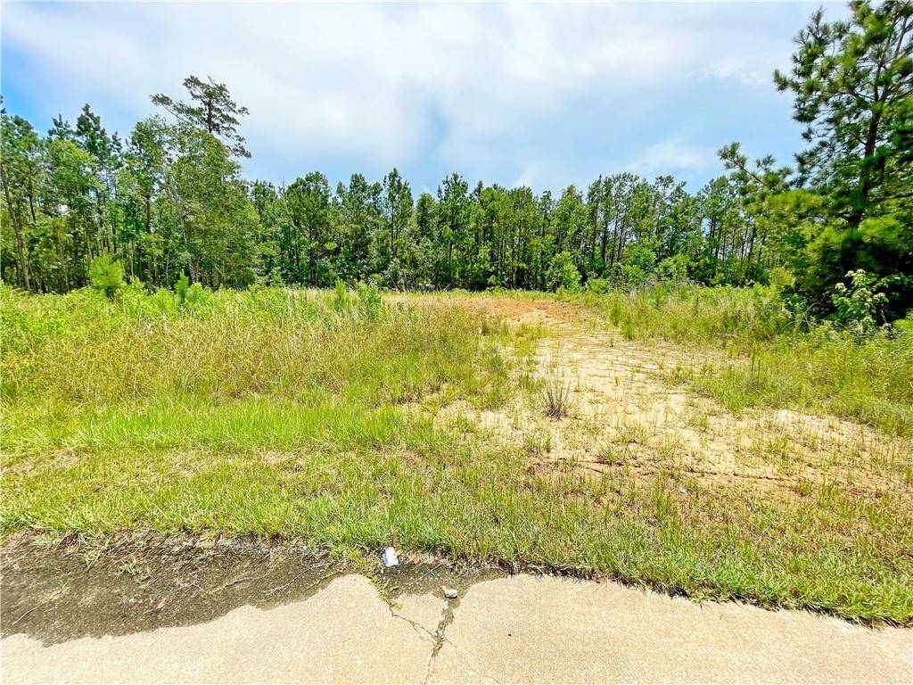 Slidell, LA 70461,1008 NATALIE CT