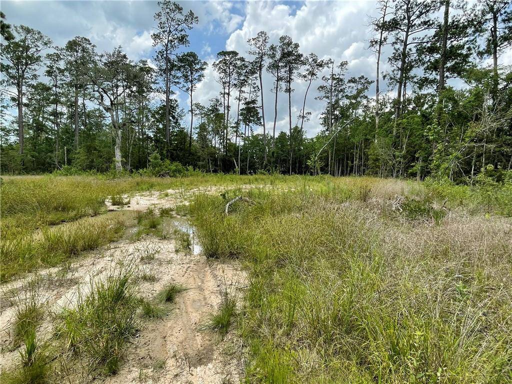 Slidell, LA 70461,0 MARPLE LN