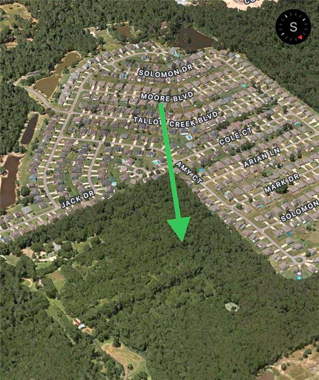 Covington, LA 70433,+/- 48.18 acres MEADOWLARK DR
