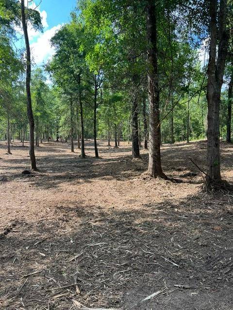 Carriere, MS 39426,Lot 30/32 BRIDGE VIEW