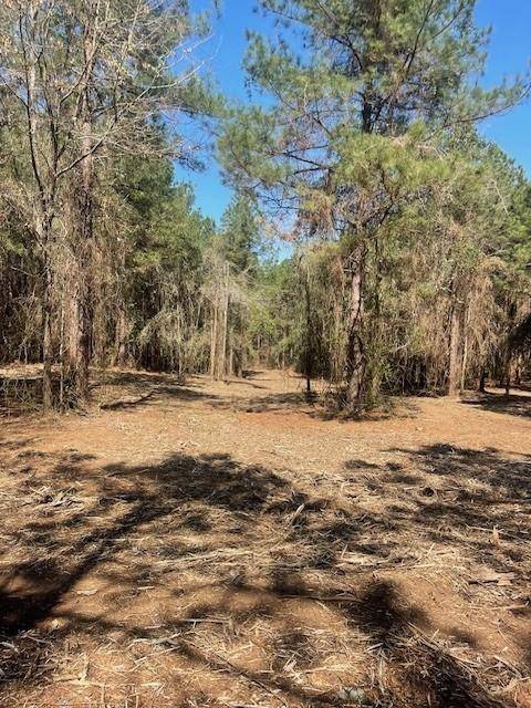 Pineville, LA 71360,0 WAINWRIGHT (LOT 3) RD