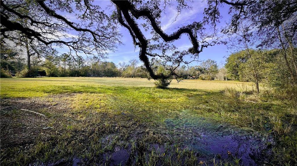 Mandeville, LA 70448,204 MAGNOLIA ST