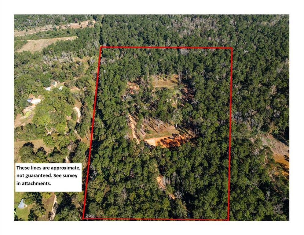 Folsom, LA 70437,17.77 Acres NICAUD RD