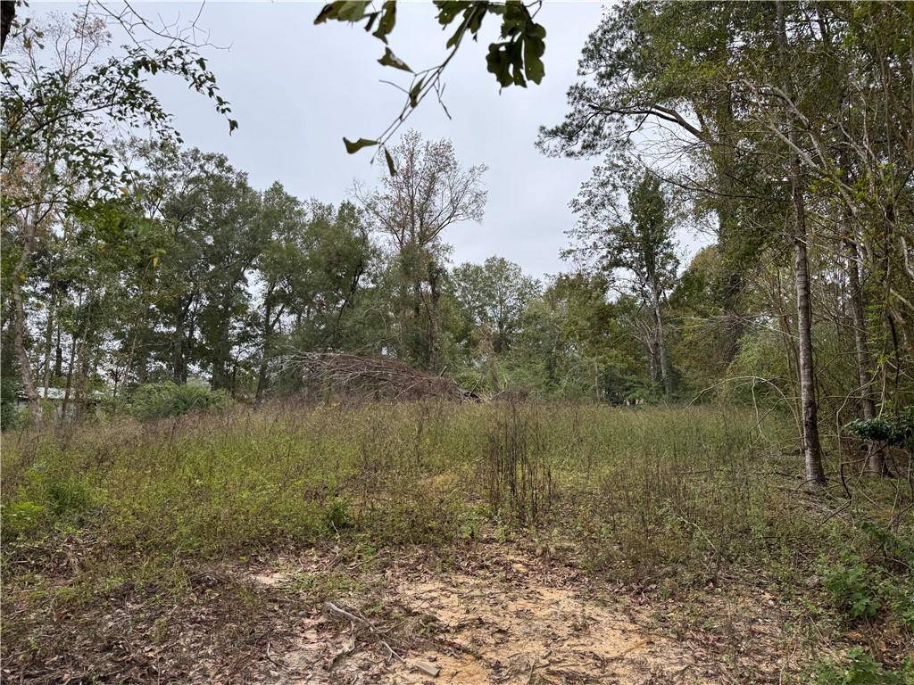 Albany, LA 70711,29507 CLAY ST