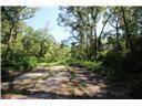 Slidell, LA 70460,1028 ST. PETER DR