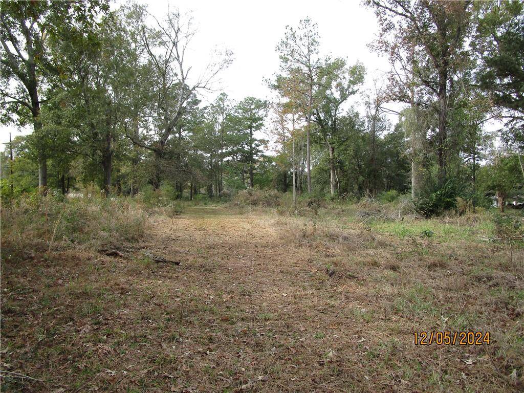 Pollock, LA 71467,0 HWY 165 HWY
