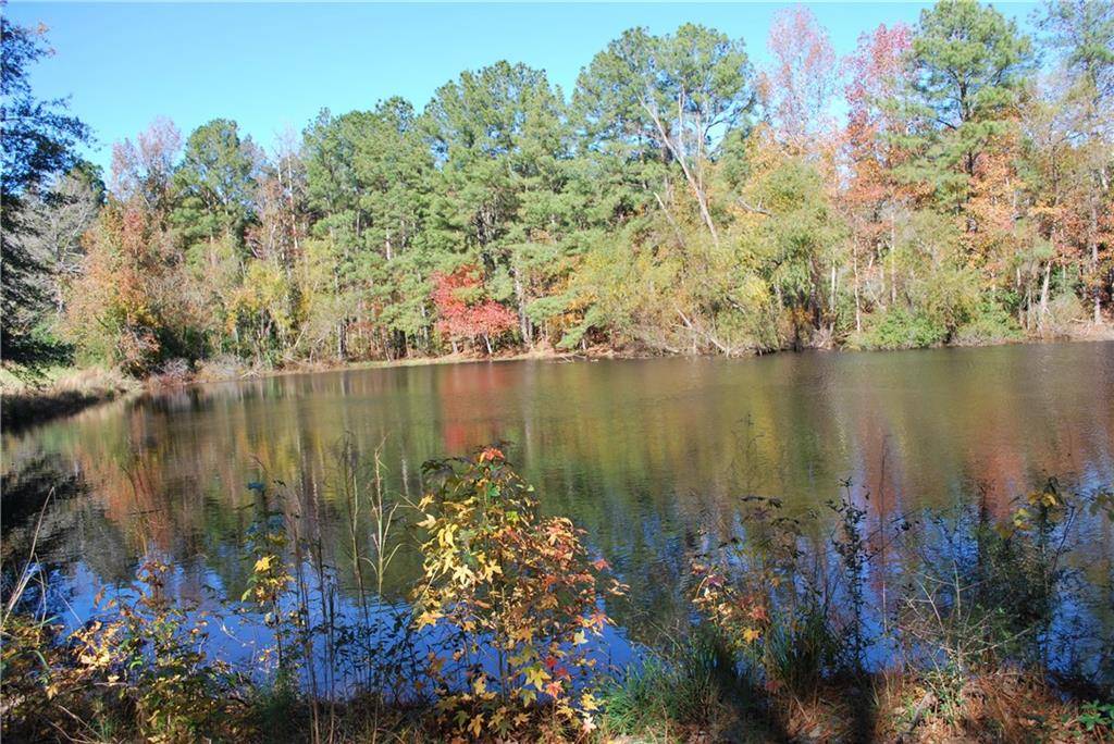 Forest Hill, LA 71430,18 AMITE RD