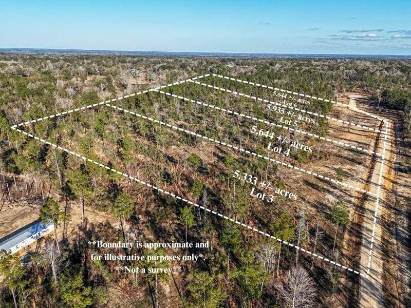 Franklinton, LA 70438,LOT 6 HIGHWAY 10 HWY