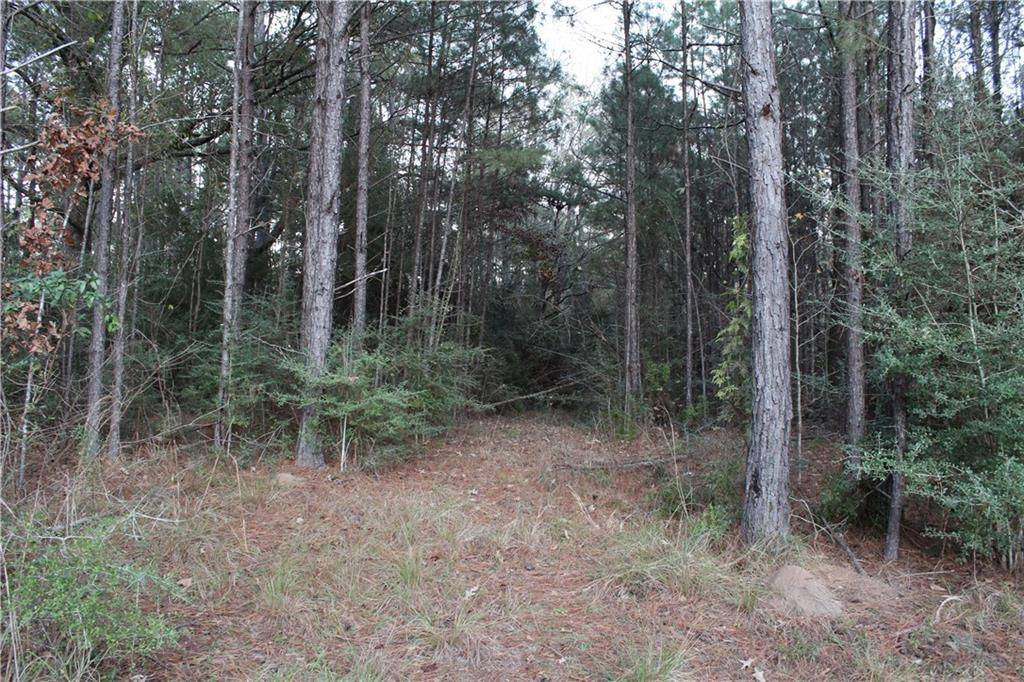 Glenmora, LA 71433,0 EAST RIVER RD