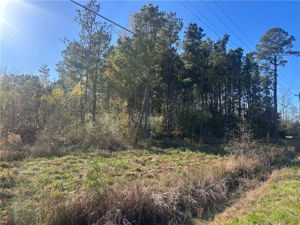 Holden, LA 70744,29275 HWY 441 HWY