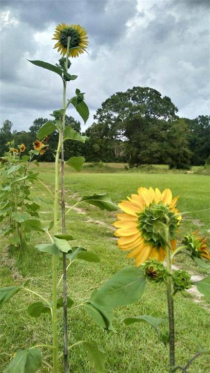 Prairieville, LA 70769,18158 LA 933 HWY