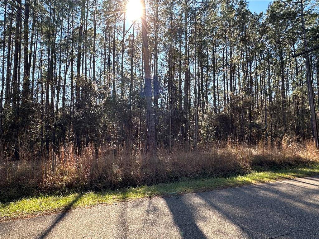 Abita Springs, LA 70420,Lot 58 QUIMET DR