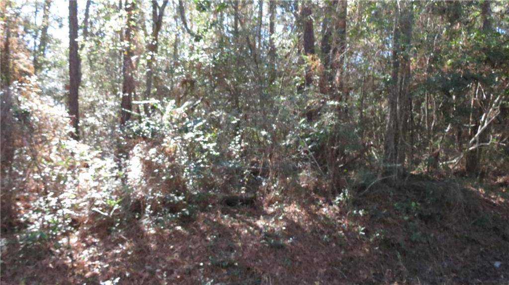 Lacombe, LA 70445,E MAIN ST