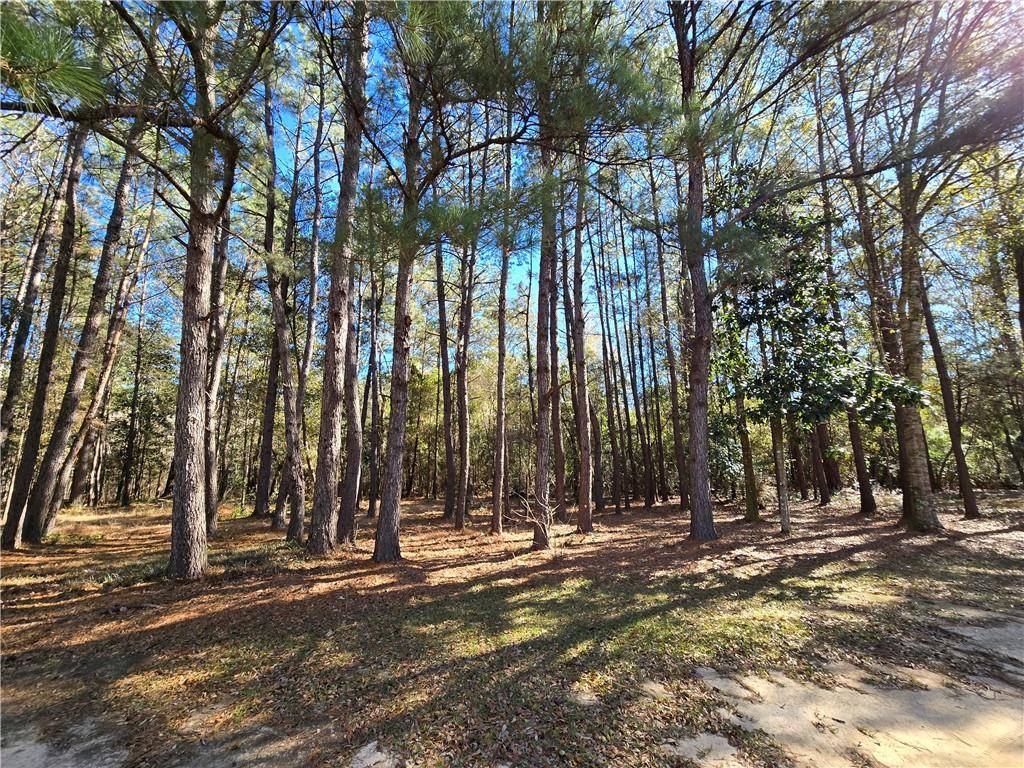 Covington, LA 70435,JOHN T PRATS RD