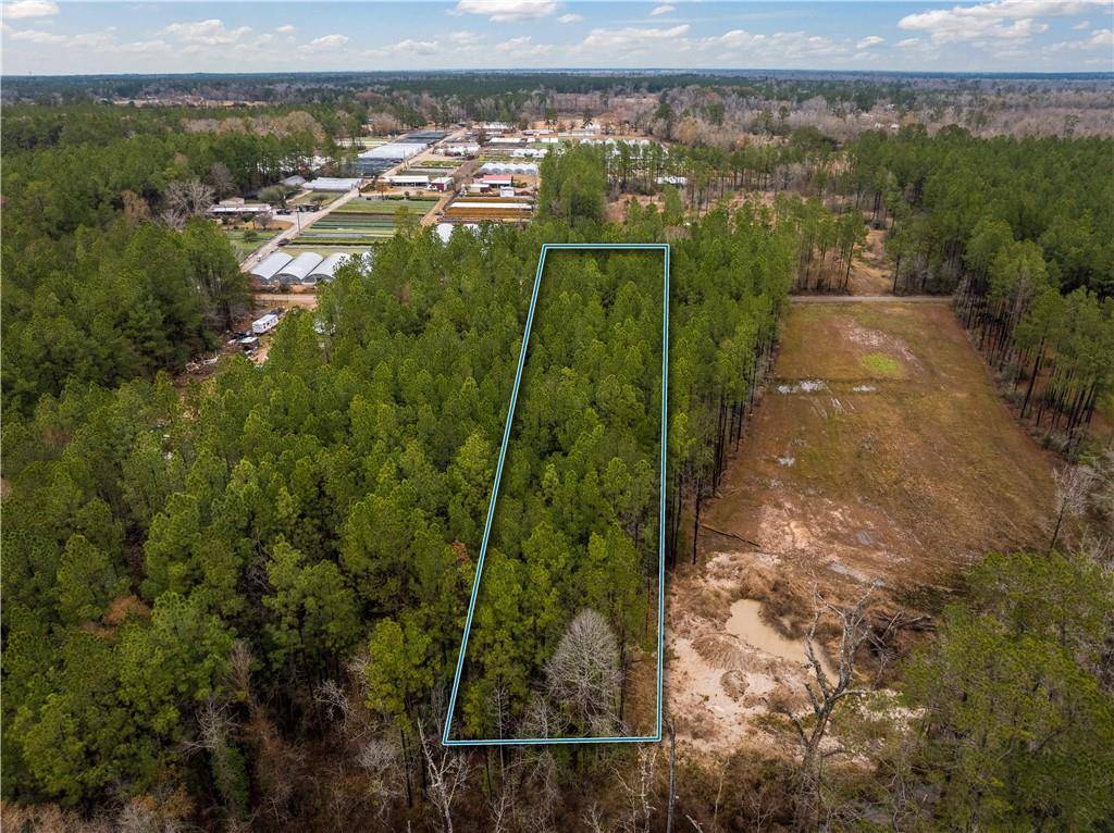 Oakdale, LA 71463,Lot 5 AVON WILLIS RD