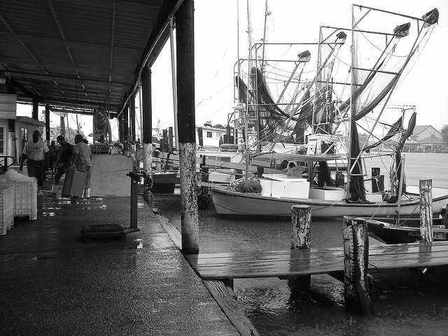 Lafitte, LA 70067,5174 SETH ST