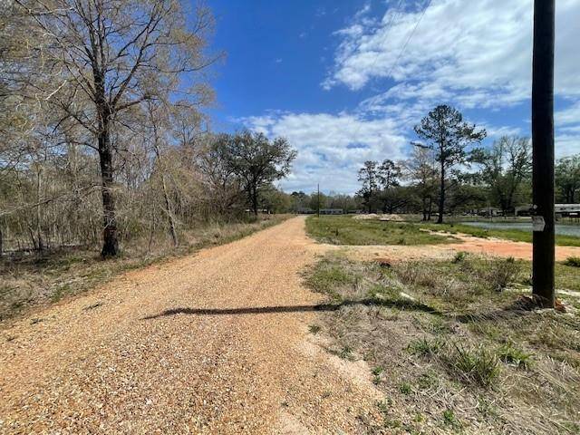 Tickfaw, LA 70466,16248 BUDDY D LN