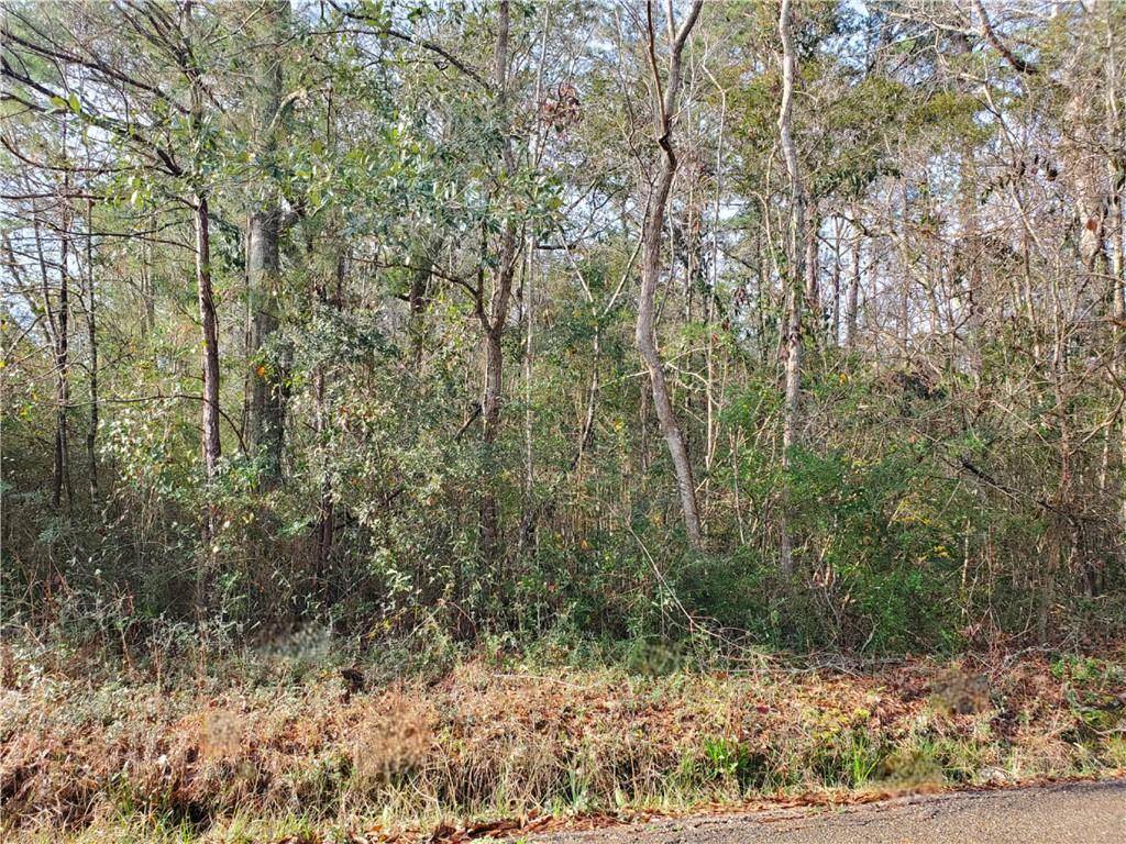 Lacombe, LA 70445,JACKSON ST