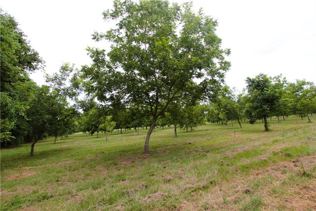 Effie, LA 71331,619 WOODSON RD