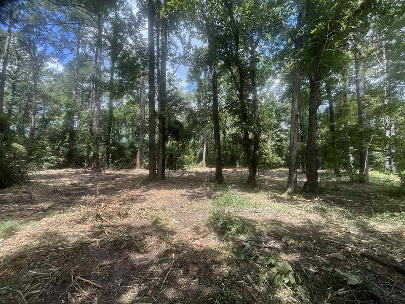 Pineville, LA 71360,0 SPRING CREEK DR