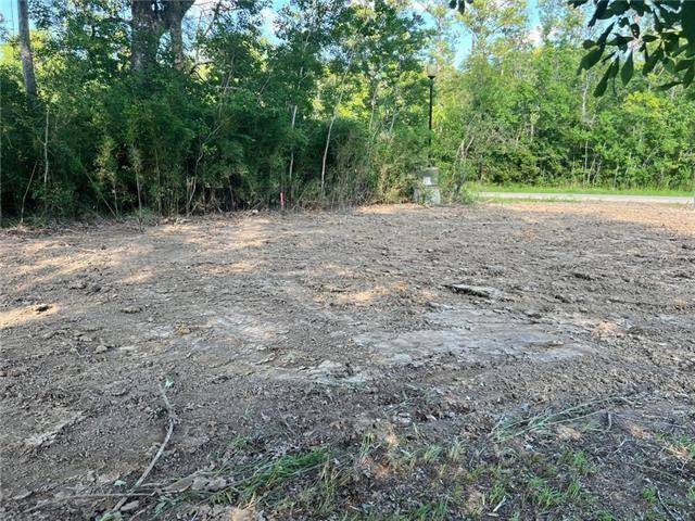 Springfield, LA 70462,LOT 58 SWAMP DR