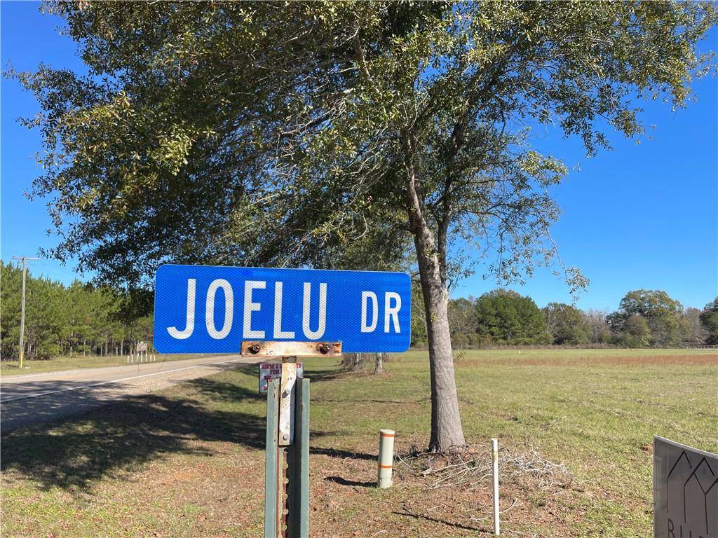 Franklinton, LA 70438,Lot 2 JOELU DR