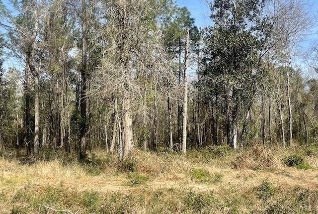 Lacombe, LA 70445,Lot 306 D 190 HWY