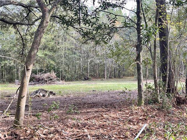 Pearl River, LA 70452,37285 DUMMYLINE RD