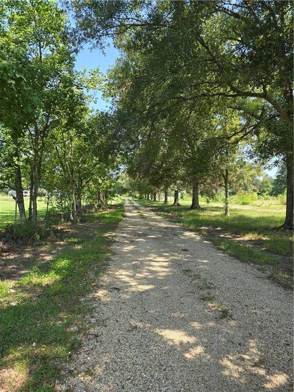 Ponchatoula, LA 70454,WEINBERGER RD
