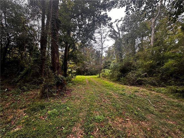 Franklinton, LA 70438,Parcel#5 16 HWY