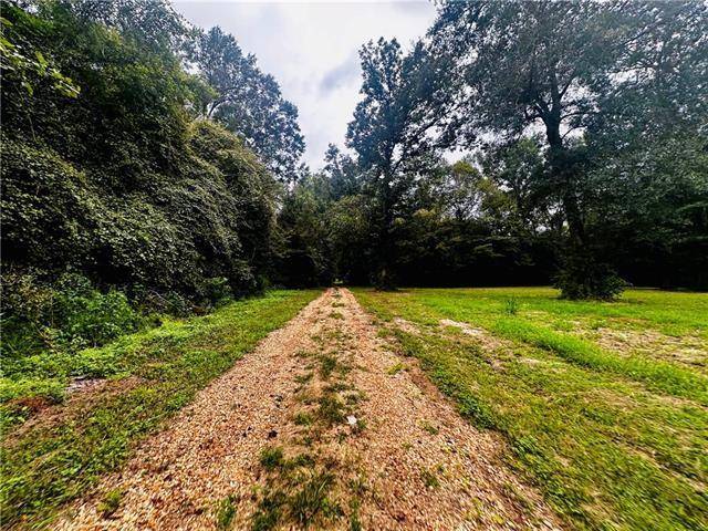 Franklinton, LA 70438,Parcel#5 16 HWY