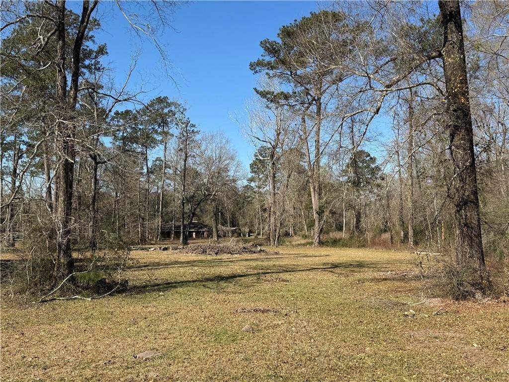 Ponchatoula, LA 70454,41325 CROWN EXT. DR