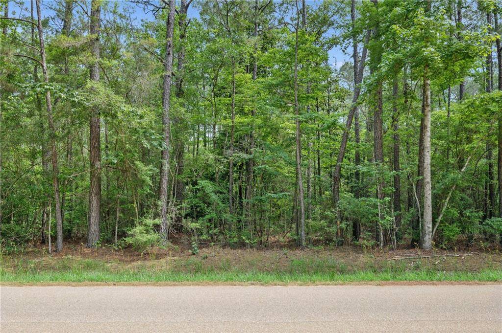 Folsom, LA 70437,Parcel 1 BRUHL RD