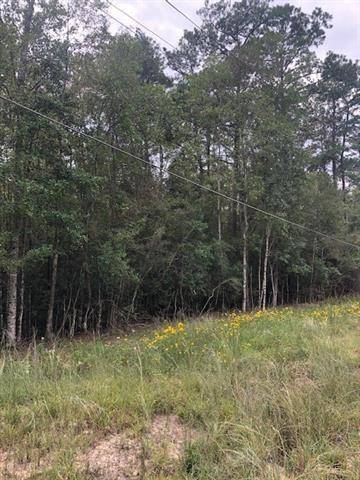 Bush, LA 70431,13.46 Acres HWY 40