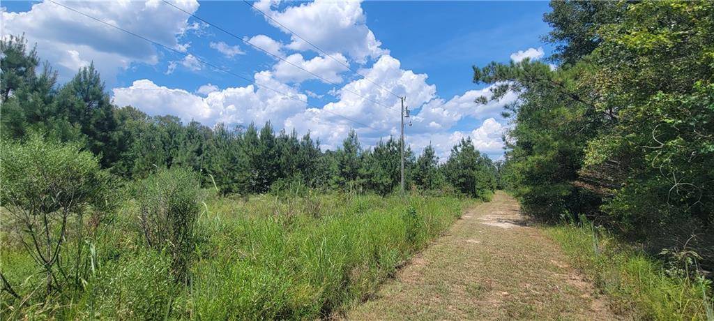 Independence, LA 70443,TBD Lot 8 WHITPALM DR