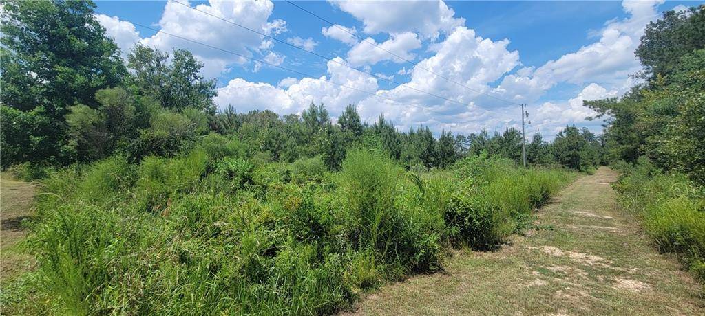 Independence, LA 70443,TBD Lot 8 WHITPALM DR